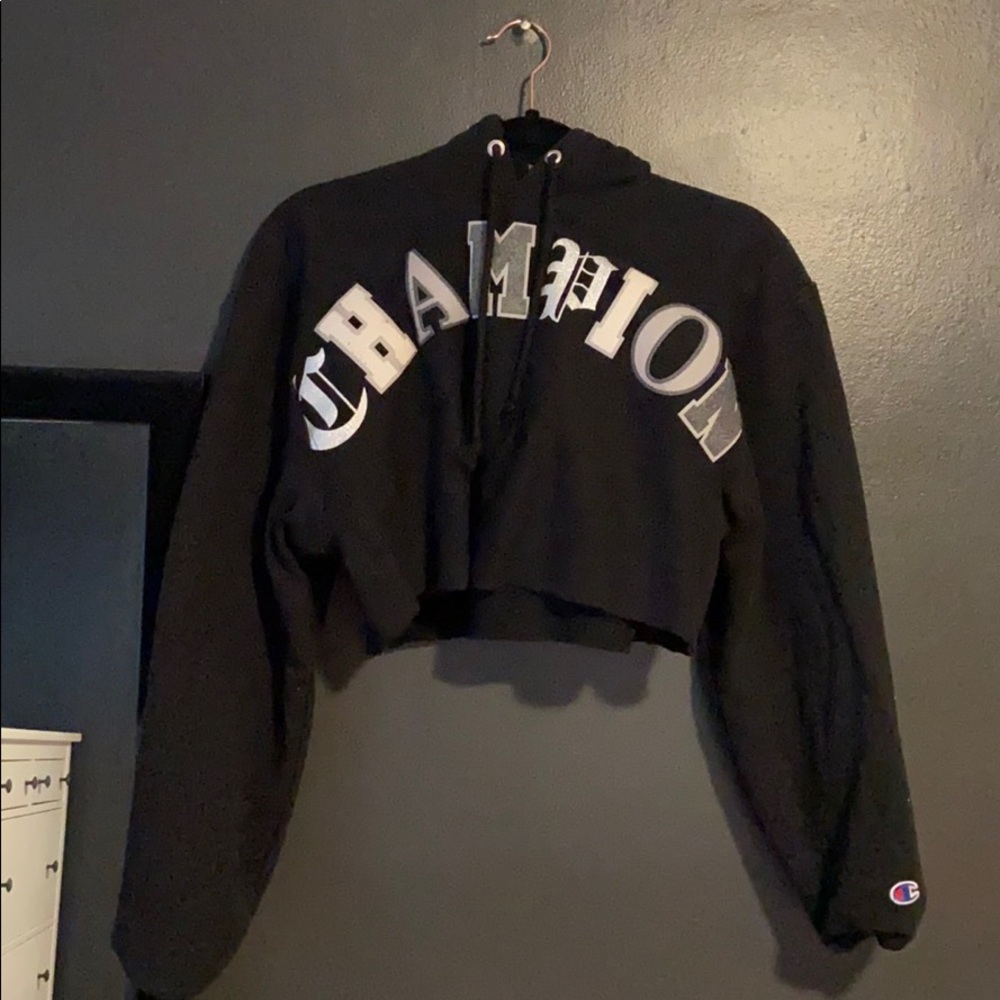 champion cropped hoodie